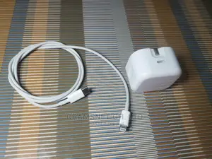 iPhone Original Type C Fast Charger.