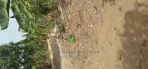 Plot of Land at Kotei Closed to the Station
