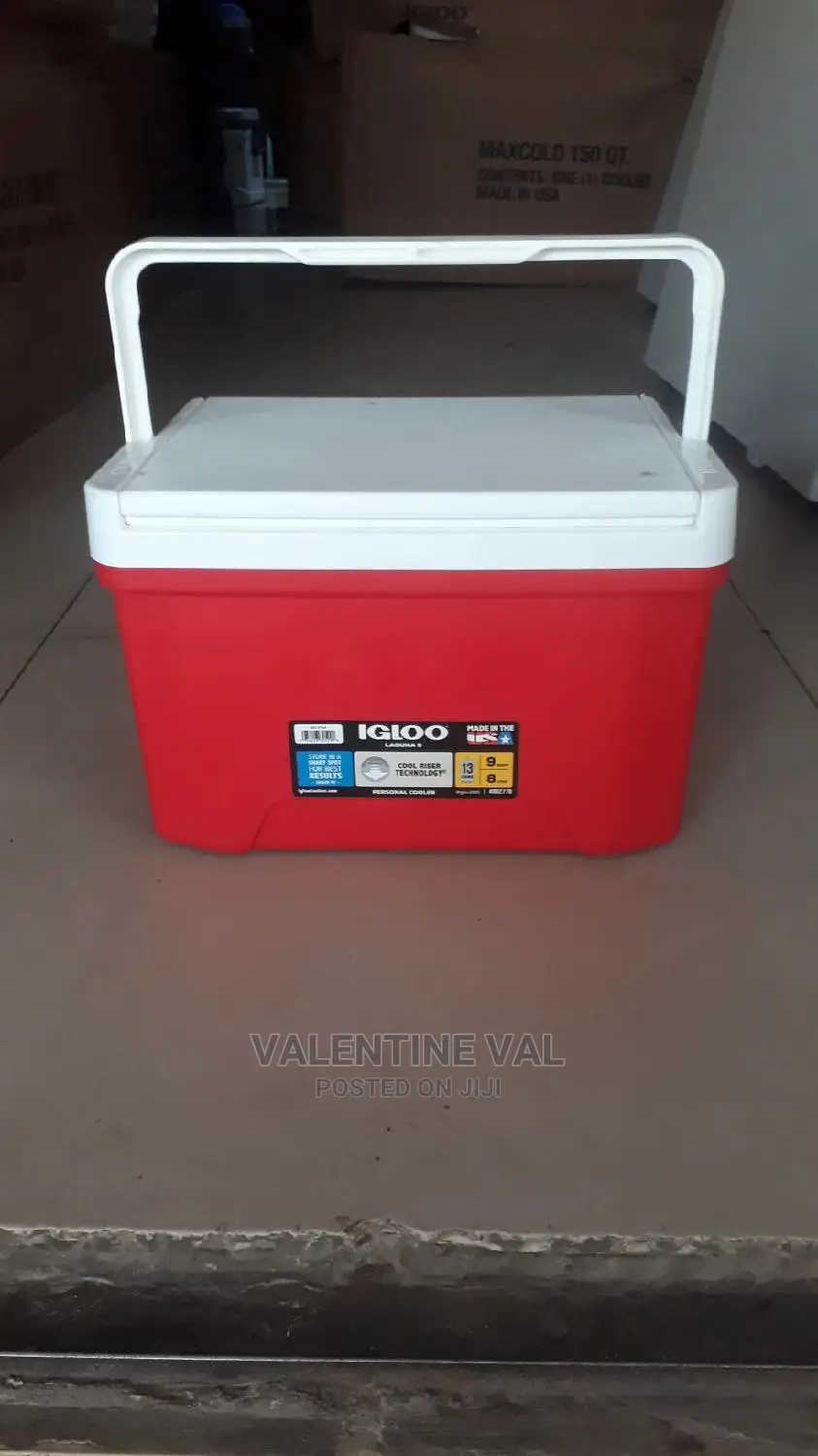 Igloo Ice Chest For Your Beach/Pool Outing And Occasion