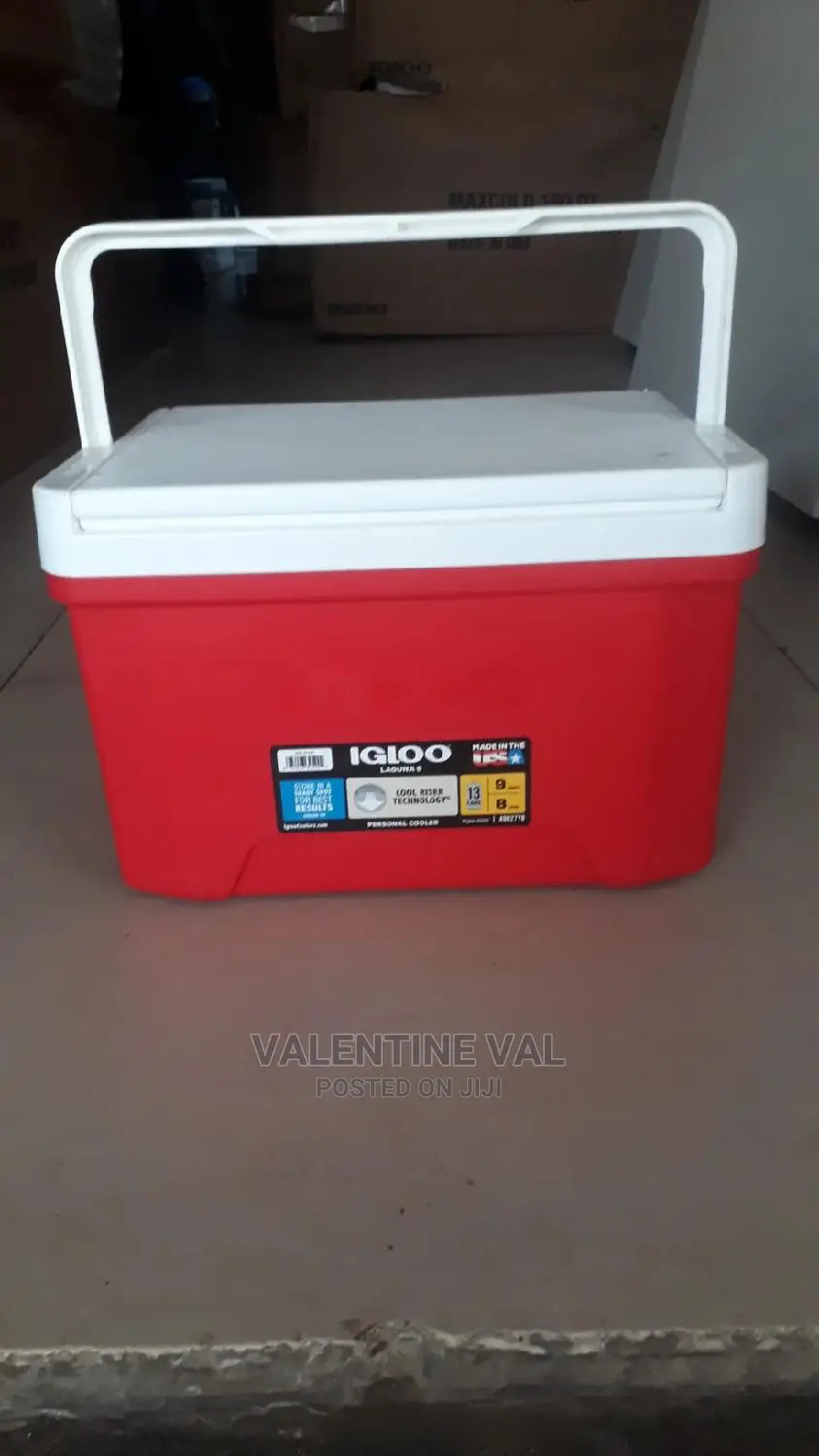 Igloo Ice Chest For Your Beach/Pool Outing And Occasion