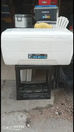 Ice Chest for Occasion