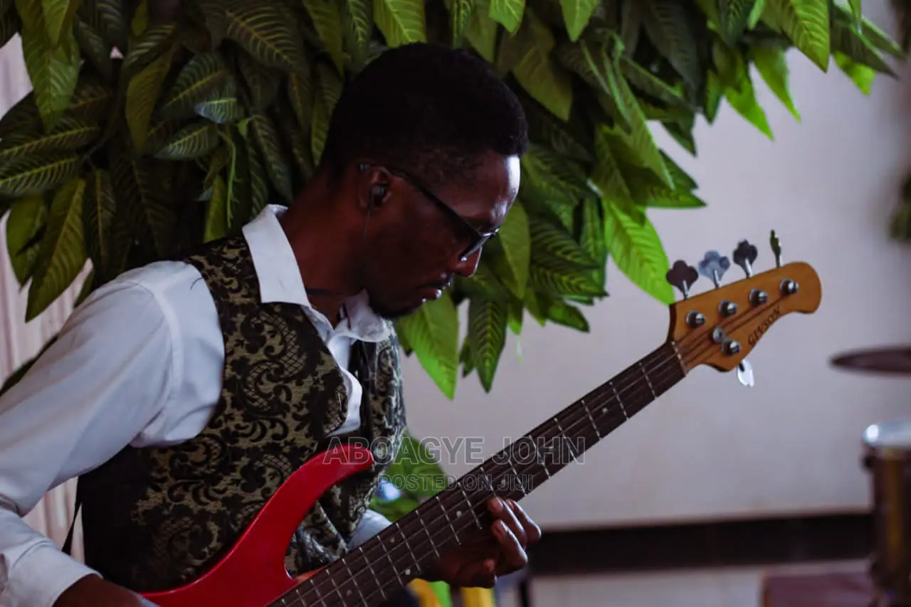 Instrumentalist Cv