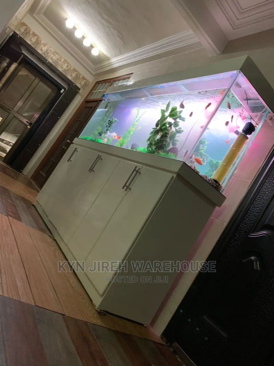 Aquarium Setup With Fishes