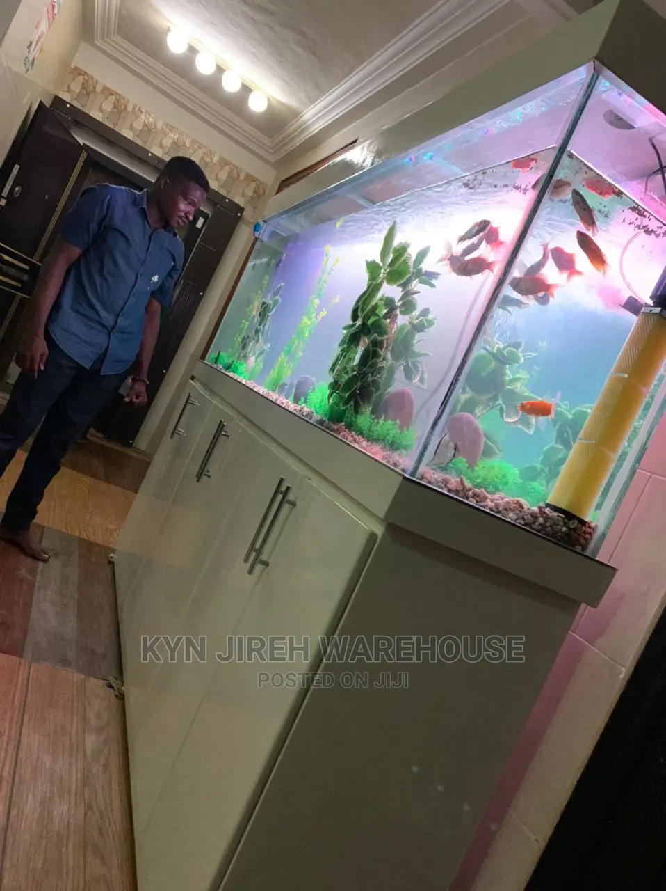 Aquarium Setup With Fishes