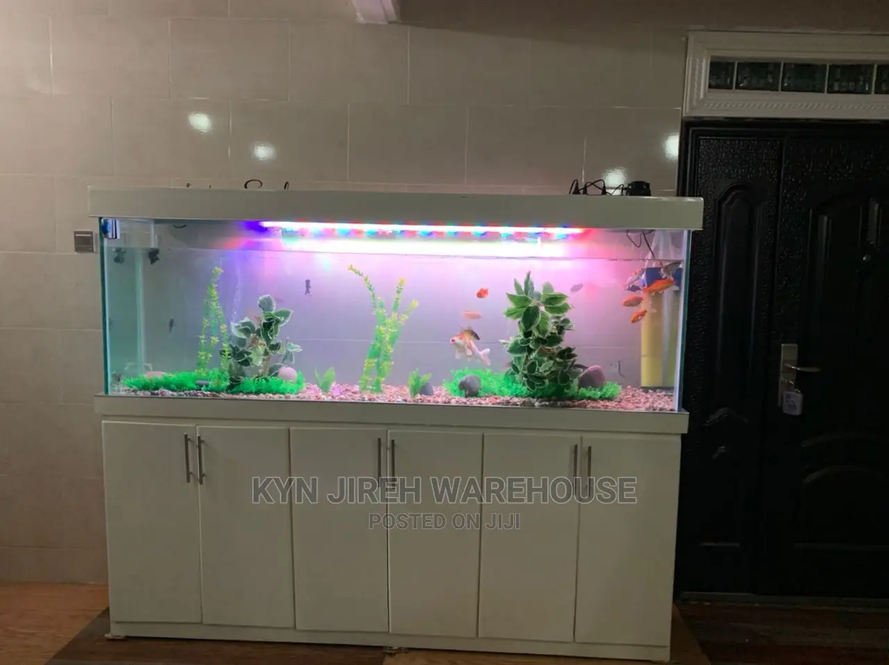 Aquarium Setup With Fishes