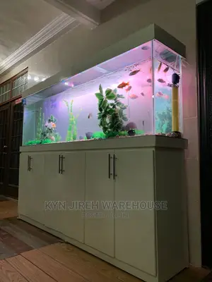 Aquarium Setup With Fishes