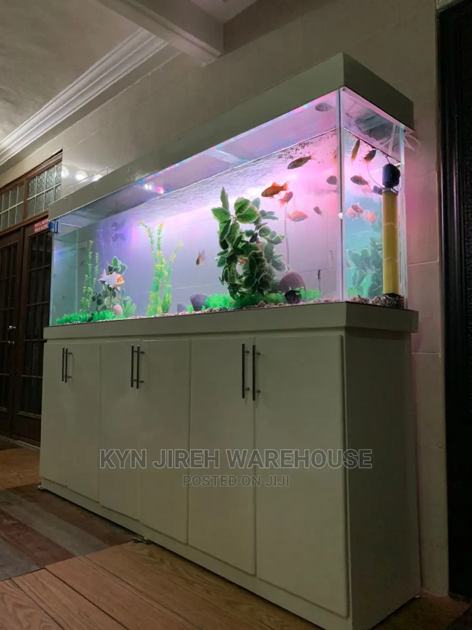 Aquarium Setup With Fishes