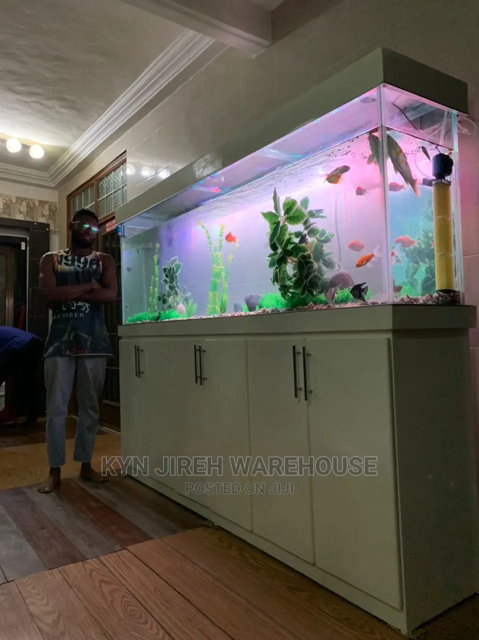 Aquarium Setup With Fishes