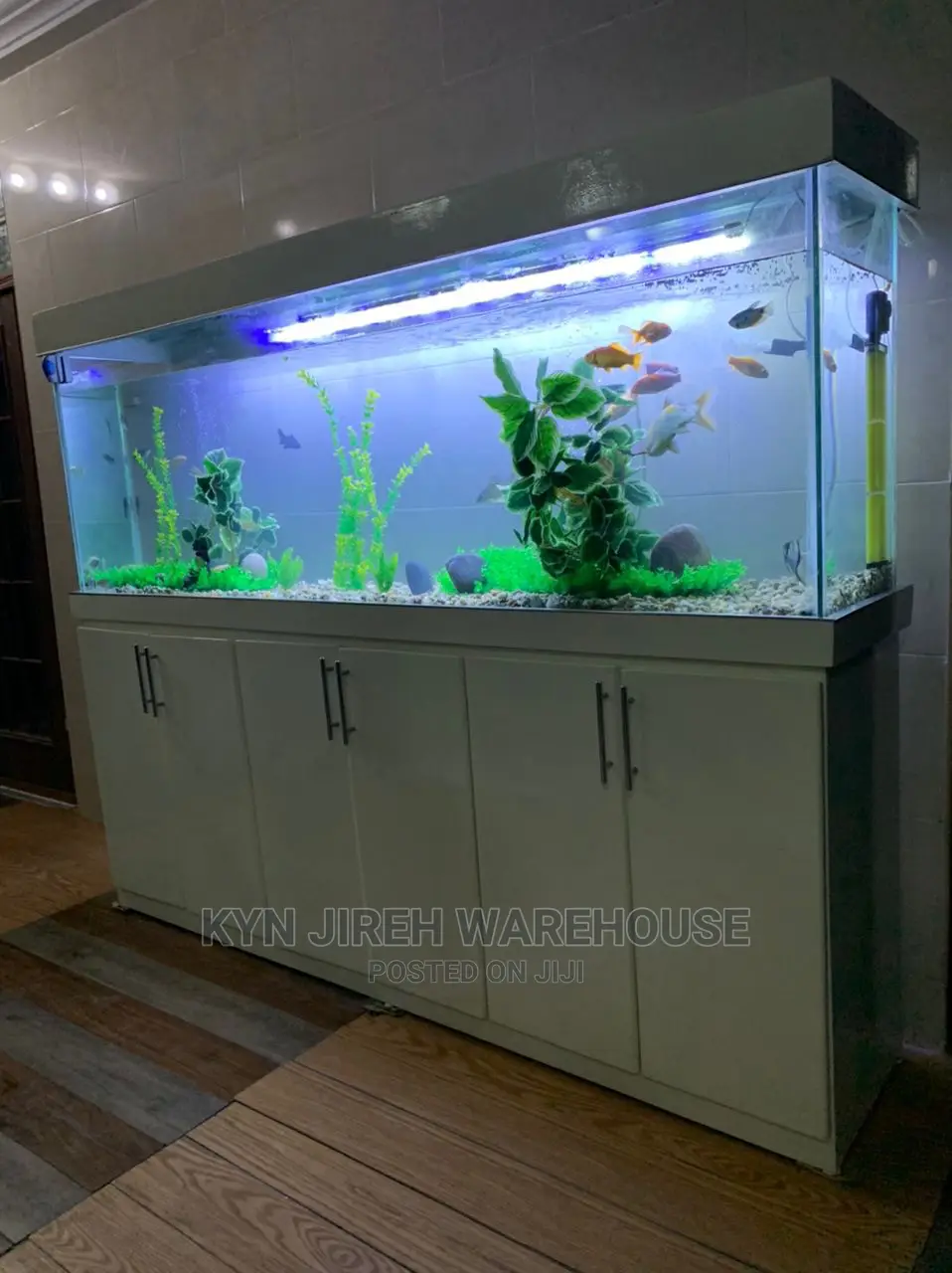 Aquarium Setup With Fishes