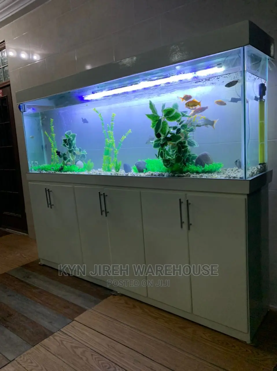 Aquarium Setup With Fishes
