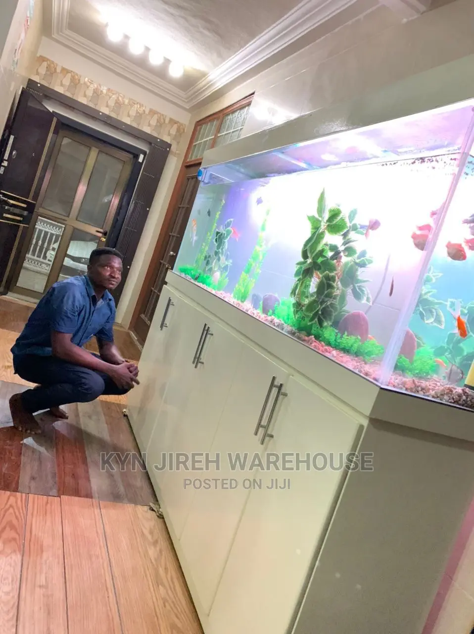 Aquarium Setup With Fishes