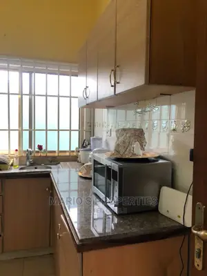 Furnished 2bdrm House in Mario Properties, Labone for rent