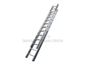Professional Extension Ladder
