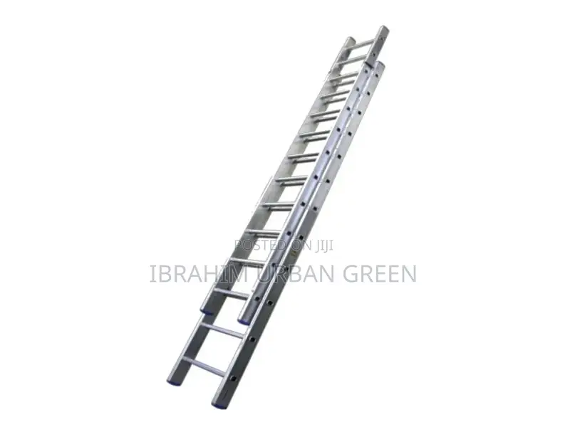 Professional Extension Ladder