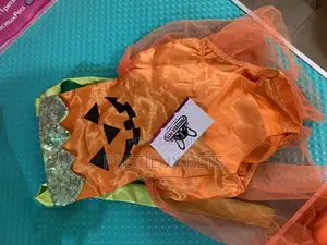 Toy Dog Clothings Series 41