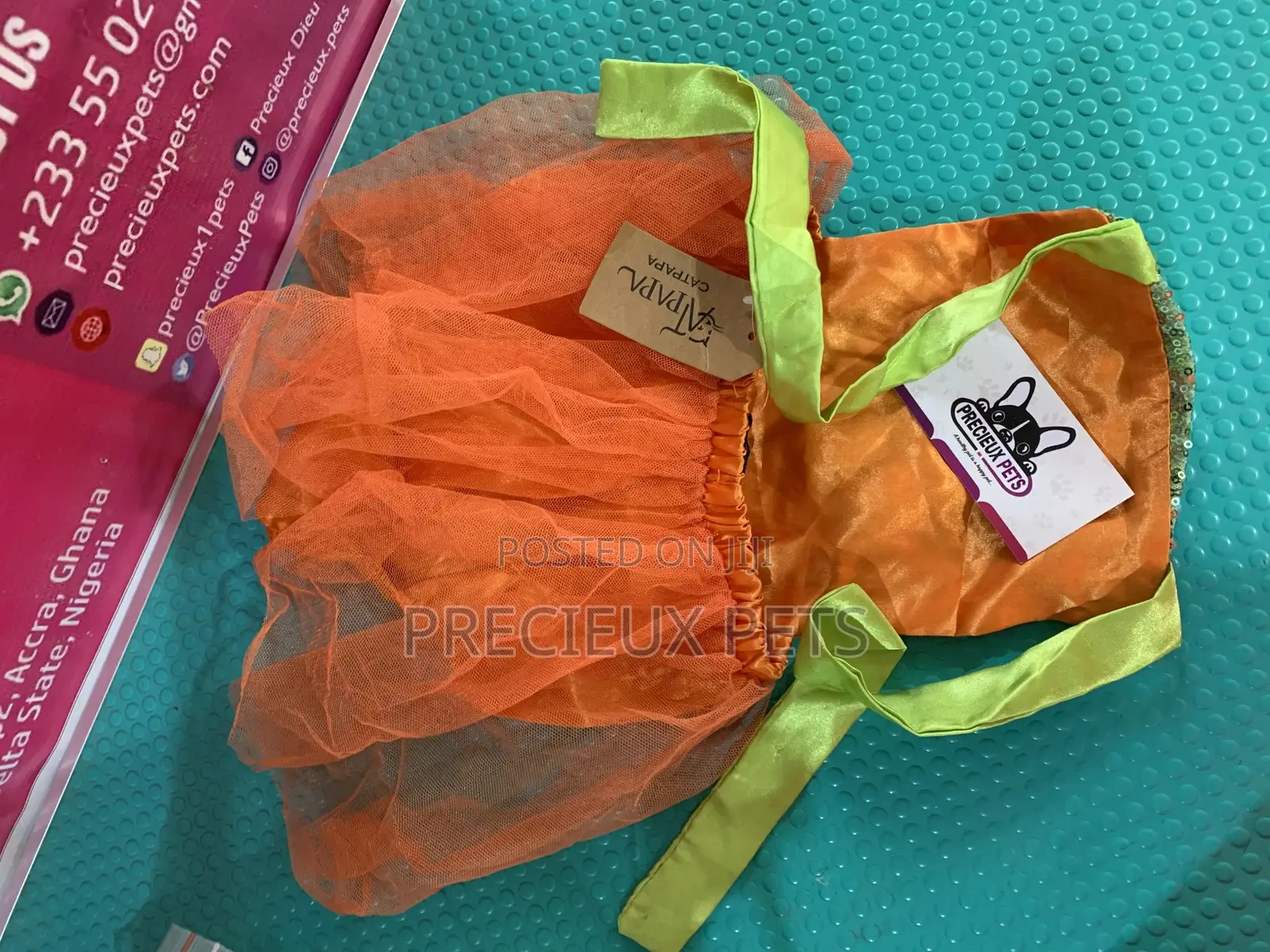 Toy Dog Clothings Series 41