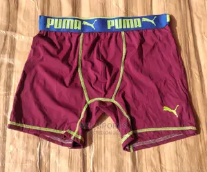 Inner Stretch ( Shorts)