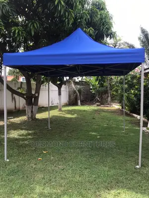 Foldable Canopy