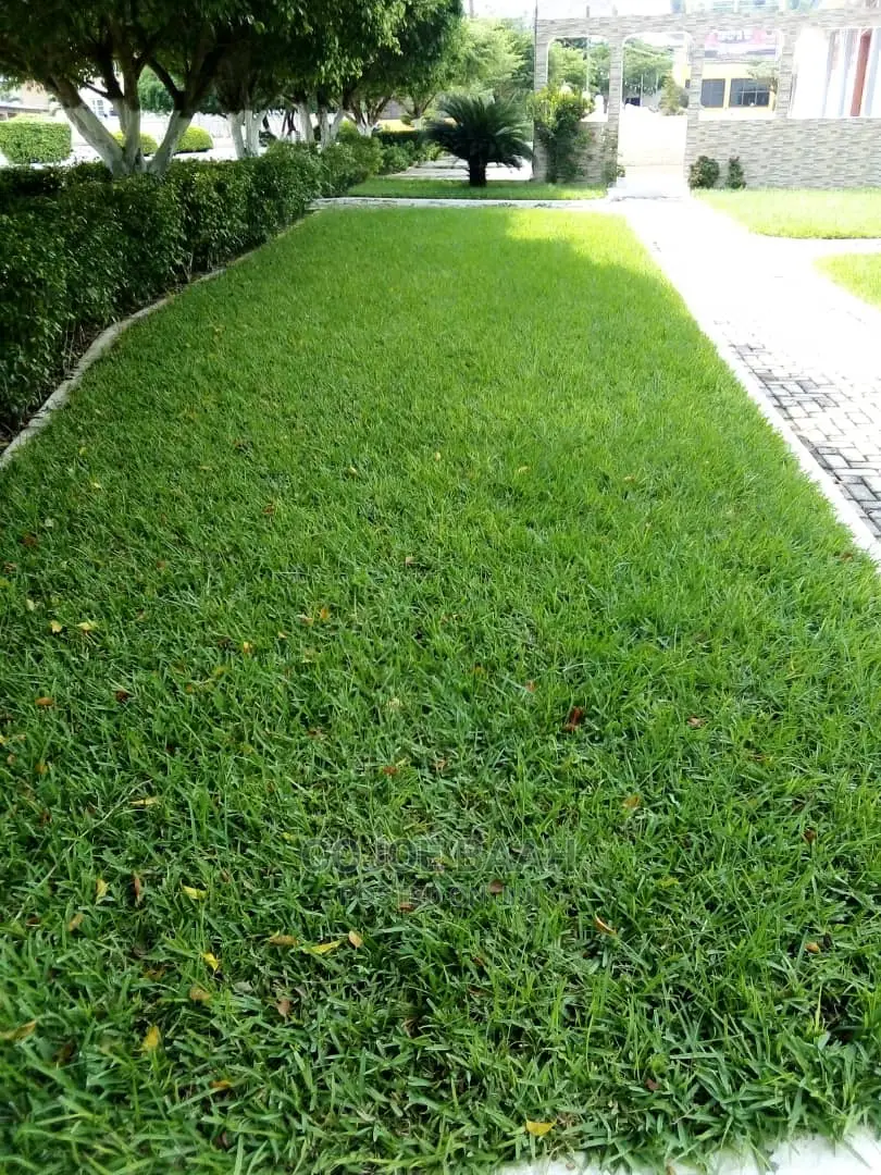 Landscaping and Gardening