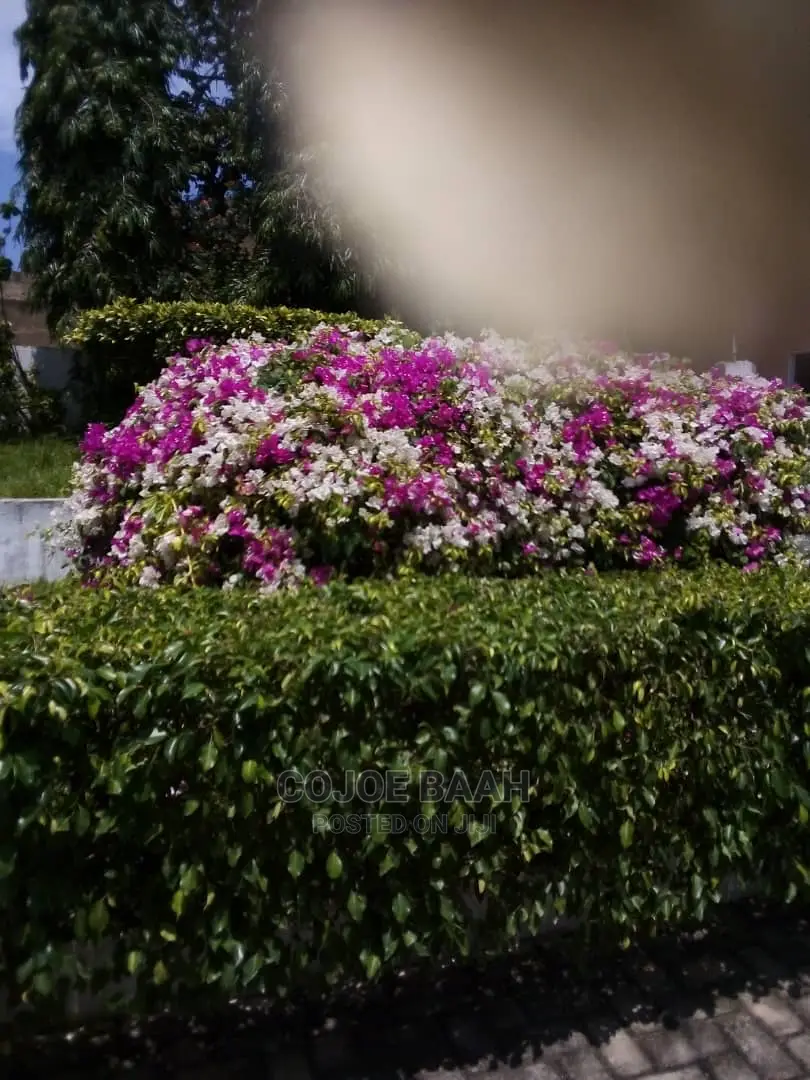 Landscaping and Gardening