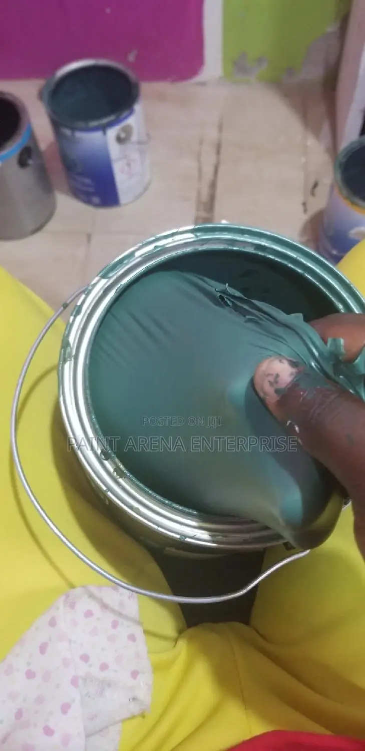 American Paints Only