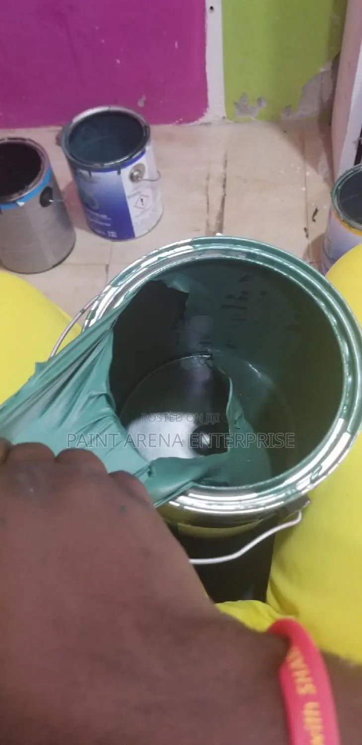 American Paints Only
