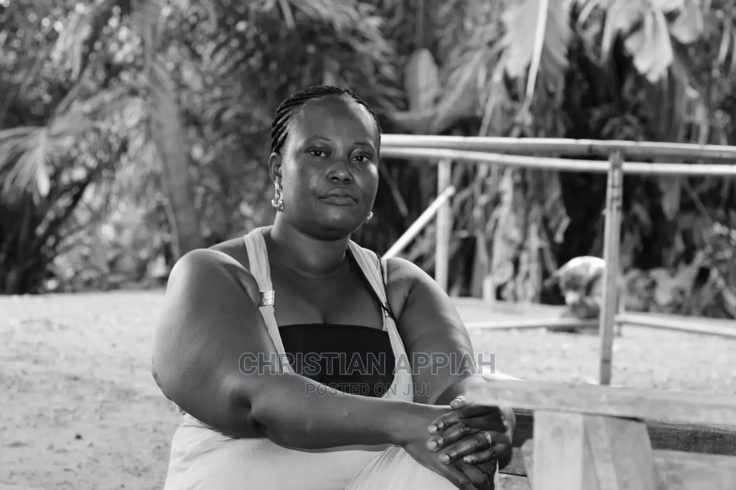 Photography Services
