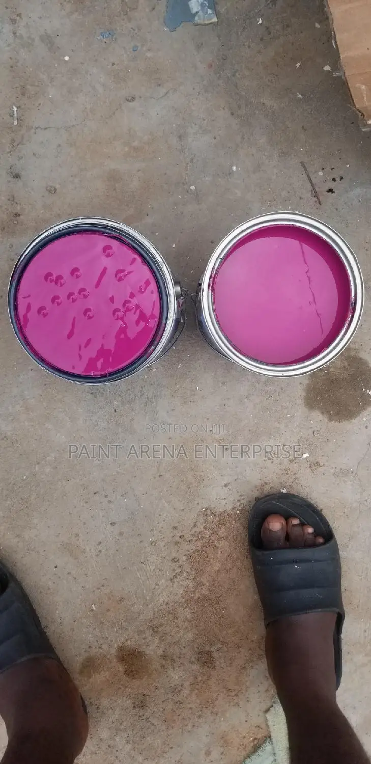 American Paints Only
