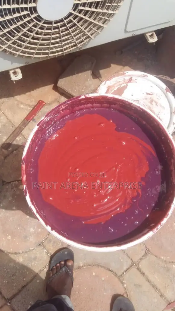 American Paints Only
