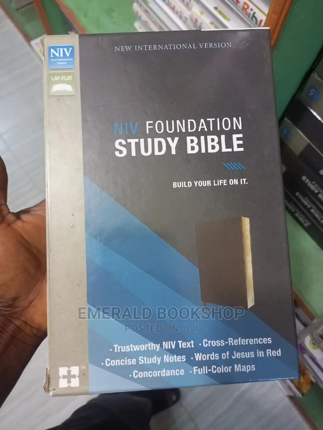Niv Foundation Study Bible