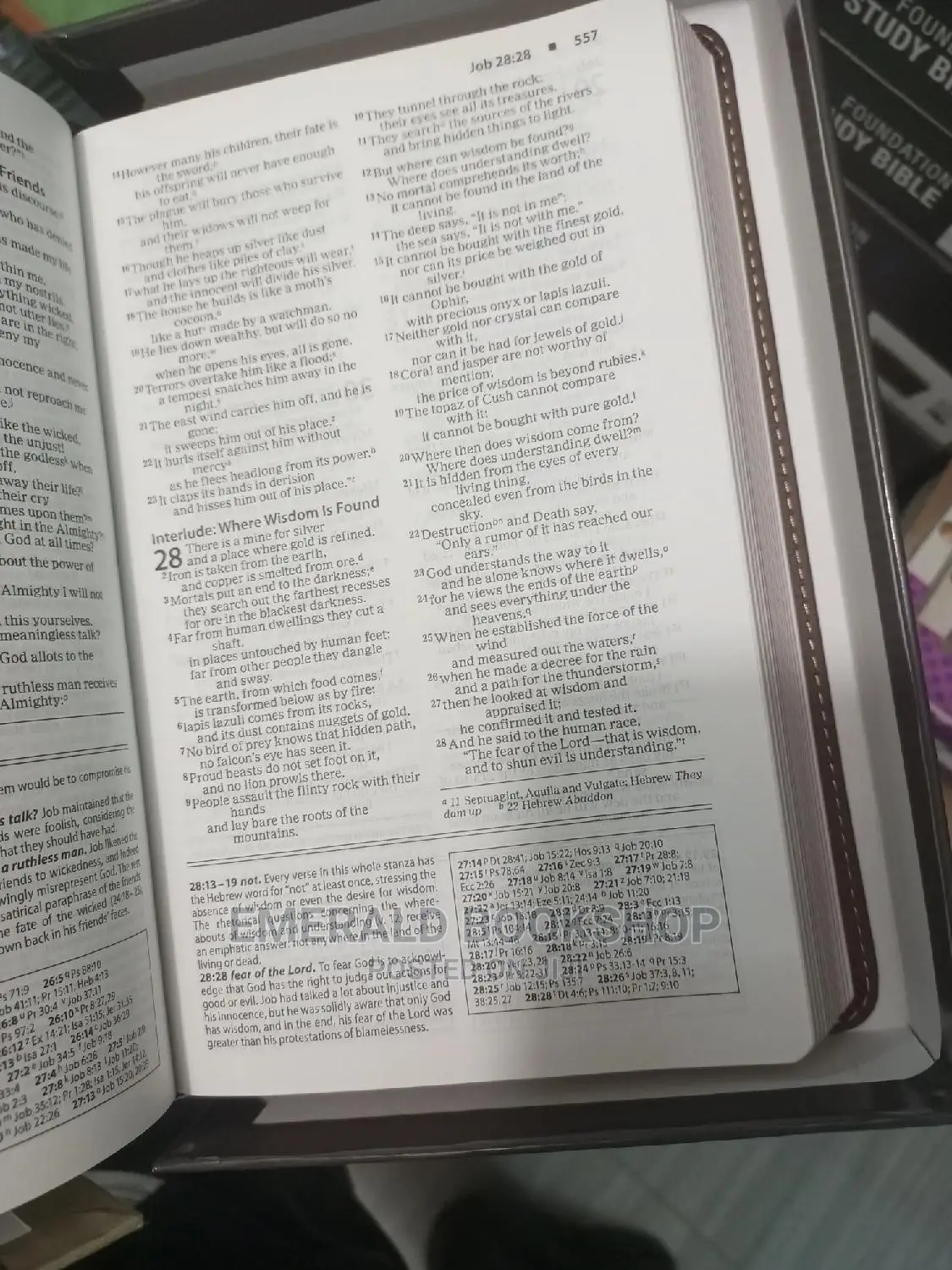 Niv Foundation Study Bible