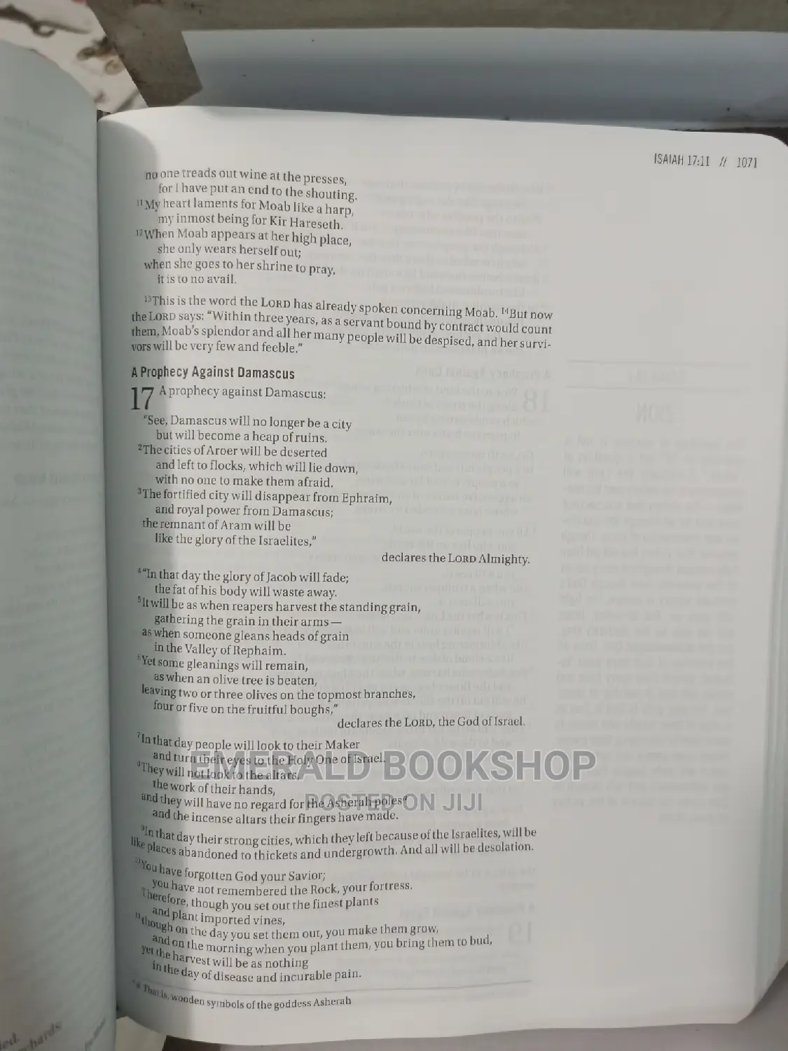 The Jesus Bible