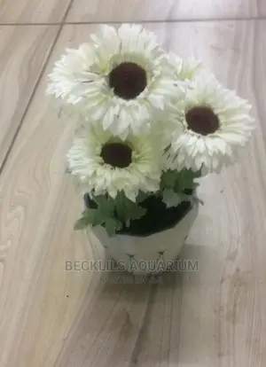 Flowers N Flowers