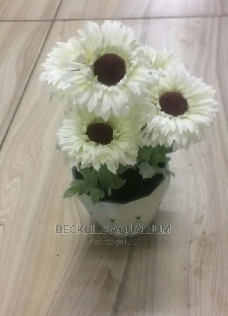 Flowers N Flowers