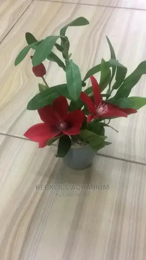 Flowers N Flowers