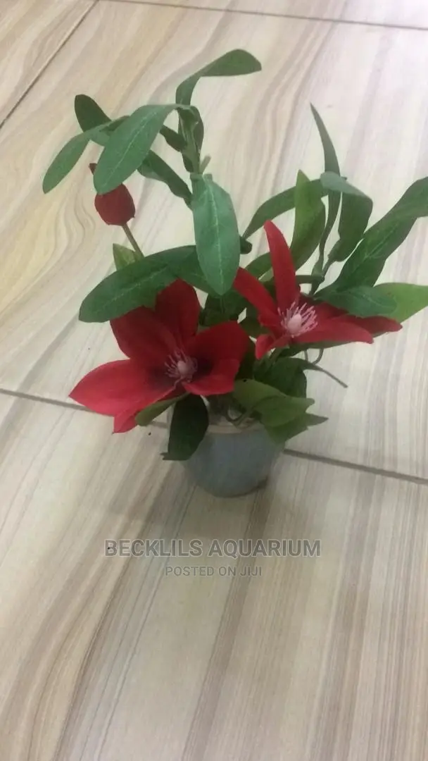 Flowers N Flowers
