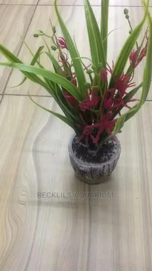 Flowers N Flowers