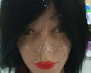 Mannequin Head With Hair.