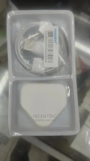 iPhone X Charger