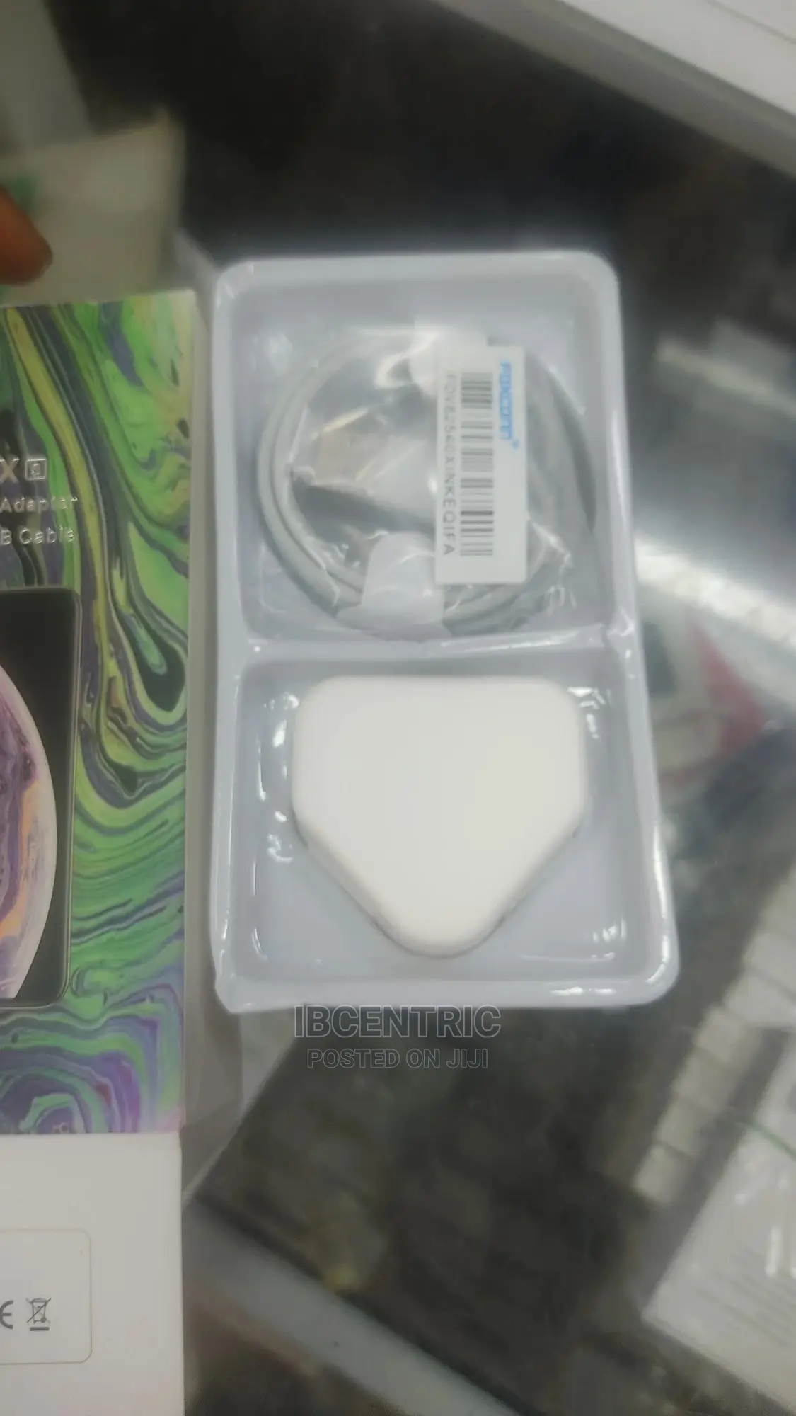 iPhone X Charger