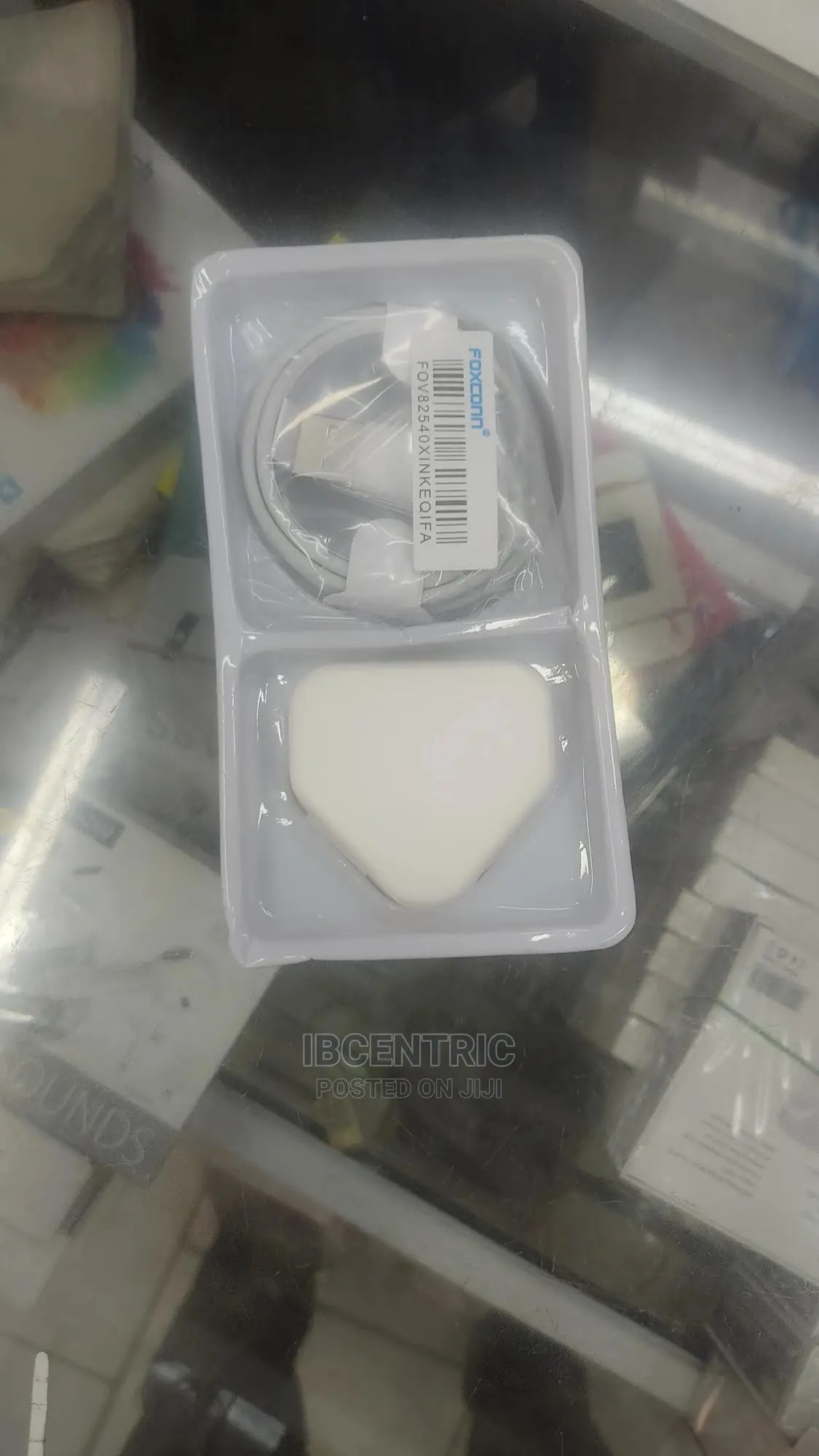 iPhone X Charger