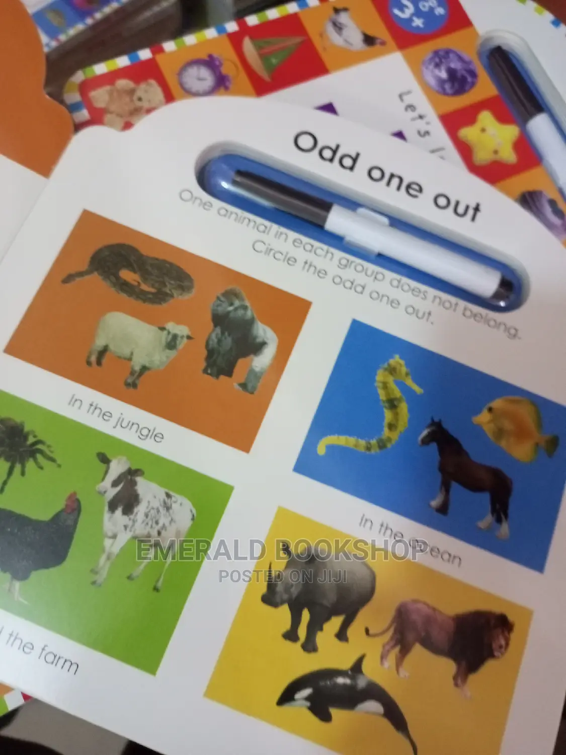 Picture Puzzles