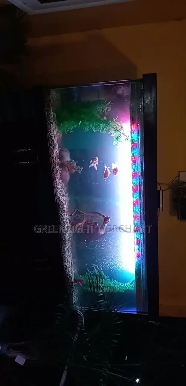 Beautiful Aquariums