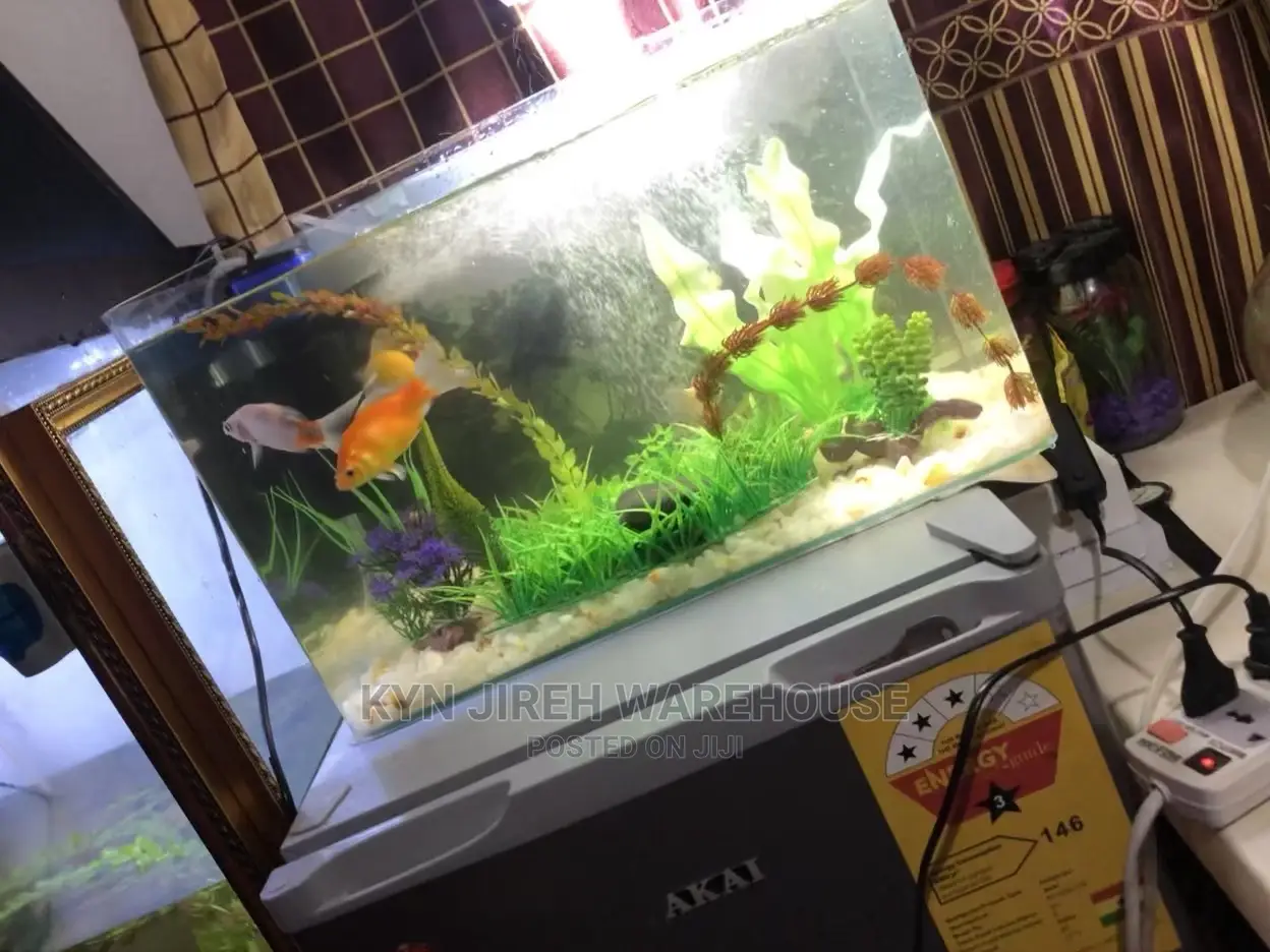 Tabletop Aquarium With 5 Fishes