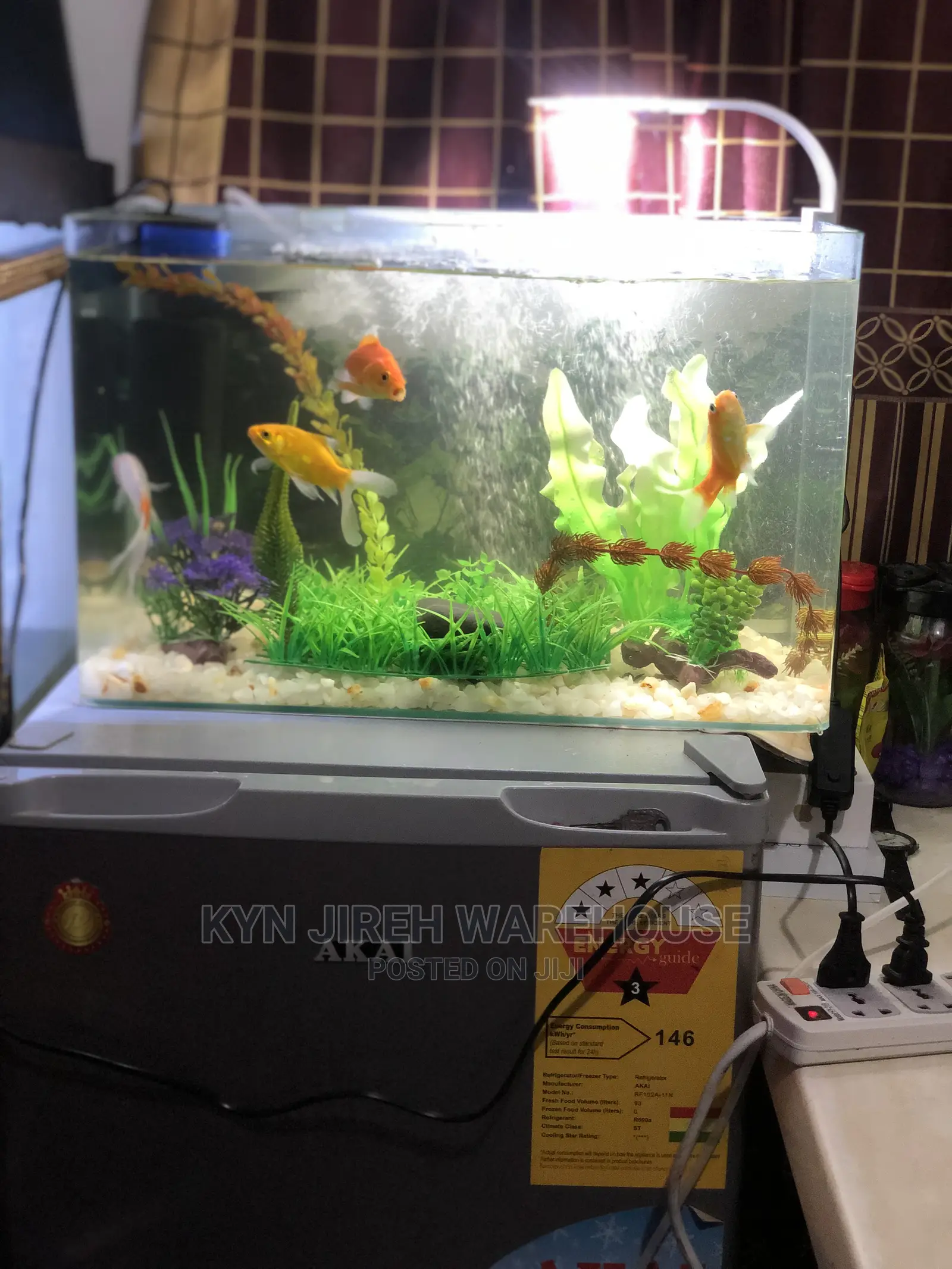 Tabletop Aquarium With 5 Fishes