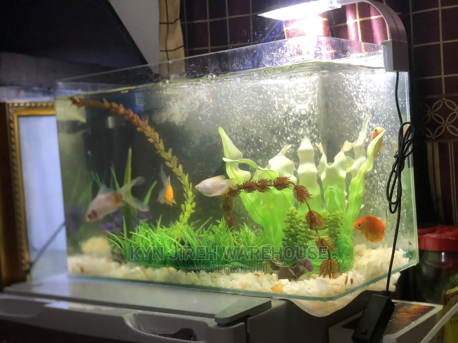 Tabletop Aquarium With 5 Fishes