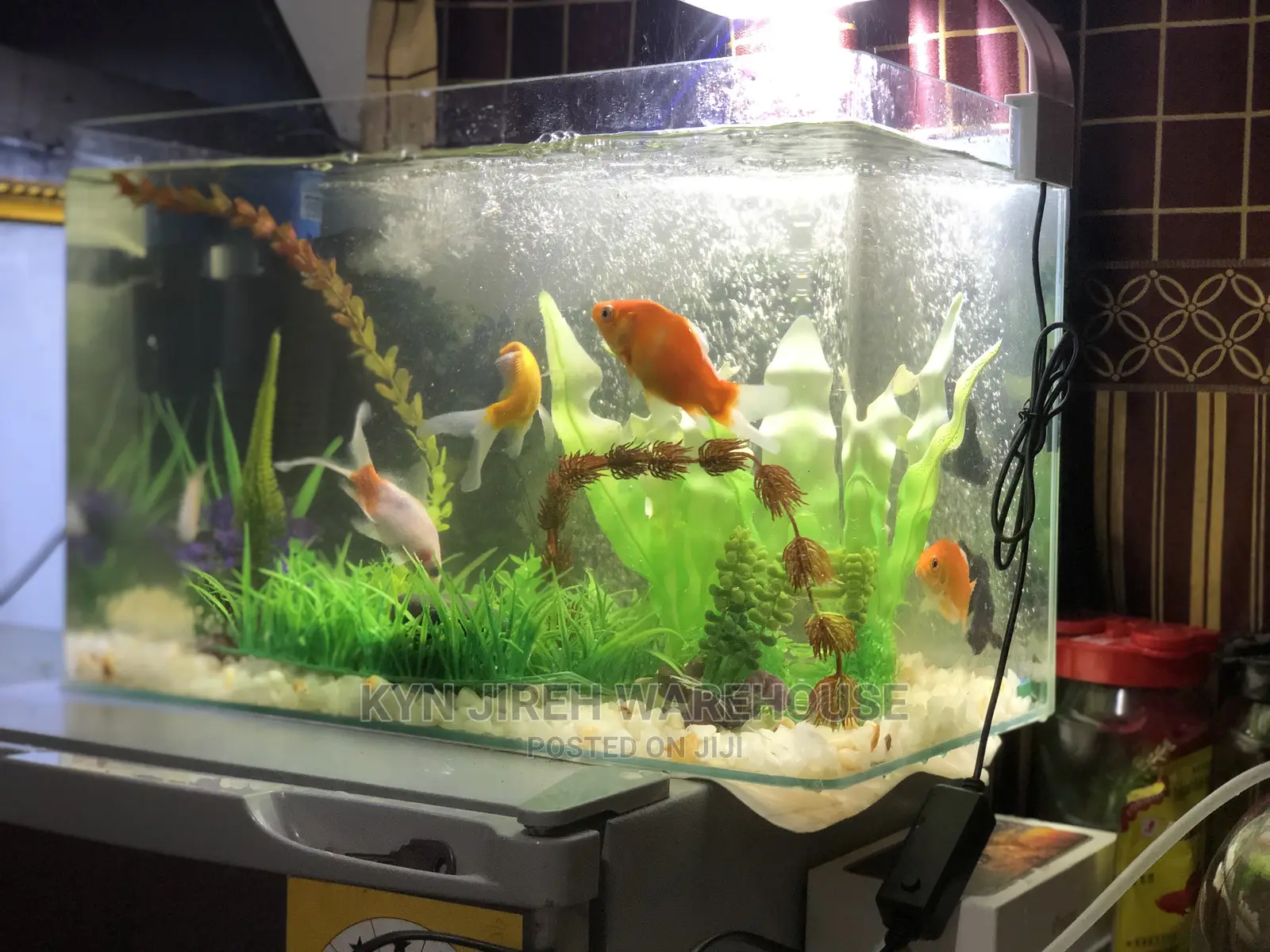 Tabletop Aquarium With 5 Fishes
