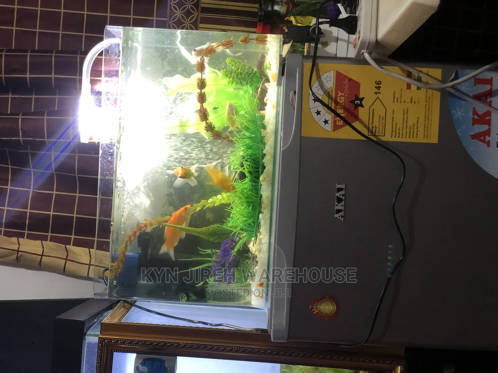 Tabletop Aquarium With 5 Fishes