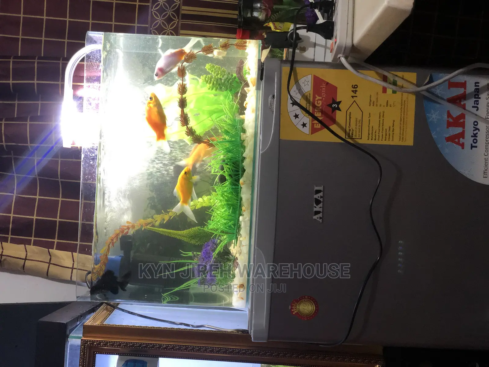 Tabletop Aquarium With 5 Fishes