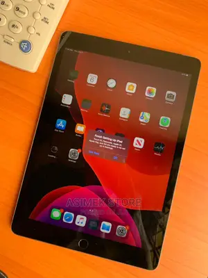 Apple iPad 10.2 (2019) 32 GB Gray